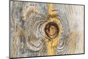 Latah, Washington State, USA. Knot in weathered wood on an old barn.-Emily Wilson-Mounted Photographic Print