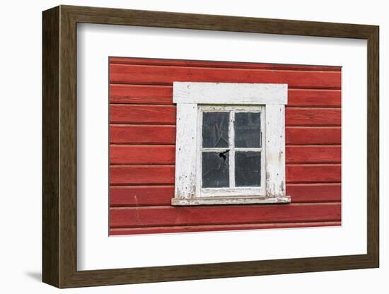 Latah, Washington State, USA. White framed window in a red barn.-Emily Wilson-Framed Photographic Print