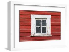 Latah, Washington State, USA. White framed window in a red barn.-Emily Wilson-Framed Photographic Print