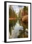 Late Afternoon Along the Merced River-Vincent James-Framed Photographic Print