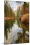 Late Afternoon Along the Merced River-Vincent James-Mounted Photographic Print