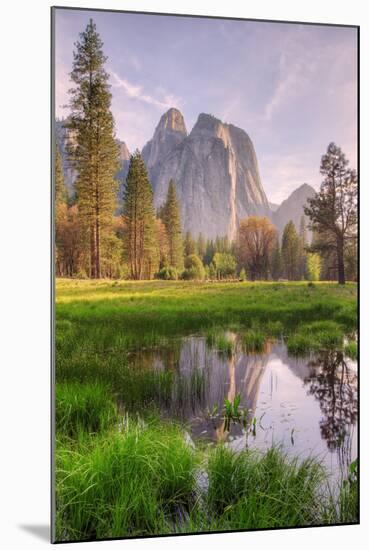 Late Afternoon at Cathedral Rocks, Yosemite Valley-Vincent James-Mounted Premium Photographic Print