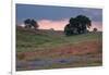 Late Afternoon, Central California-Vincent James-Framed Photographic Print