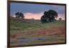 Late Afternoon, Central California-Vincent James-Framed Photographic Print
