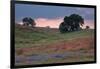 Late Afternoon, Central California-Vincent James-Framed Photographic Print