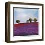 Late Afternoon (Detail)-Philip Bloom-Framed Art Print