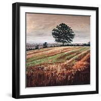 Late Afternoon field, 2009, (oil on canvas)-Helen White-Framed Giclee Print