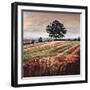 Late Afternoon field, 2009, (oil on canvas)-Helen White-Framed Giclee Print