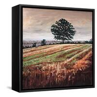 Late Afternoon field, 2009, (oil on canvas)-Helen White-Framed Stretched Canvas