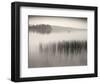 Late Afternoon Fishing-Andrew Ren-Framed Art Print