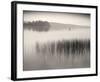 Late Afternoon Fishing-Andrew Ren-Framed Art Print