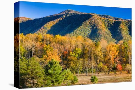 Late Afternoon in Cade's Cove, Tn-Dean Fikar-Stretched Canvas