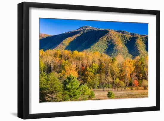 Late Afternoon in Cade's Cove, Tn-Dean Fikar-Framed Photographic Print