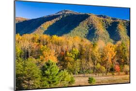 Late Afternoon in Cade's Cove, Tn-Dean Fikar-Mounted Photographic Print