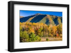 Late Afternoon in Cade's Cove, Tn-Dean Fikar-Framed Photographic Print