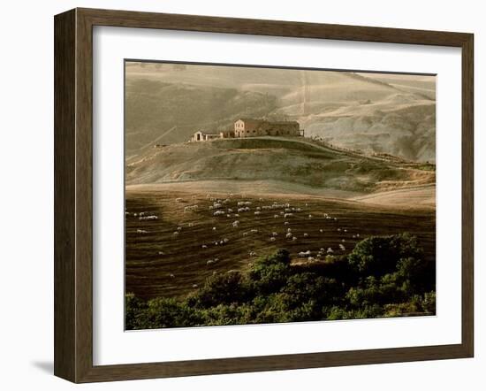 Late Afternoon in Tuscany-Monika Brand-Framed Photographic Print