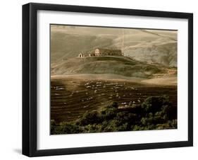 Late Afternoon in Tuscany-Monika Brand-Framed Photographic Print