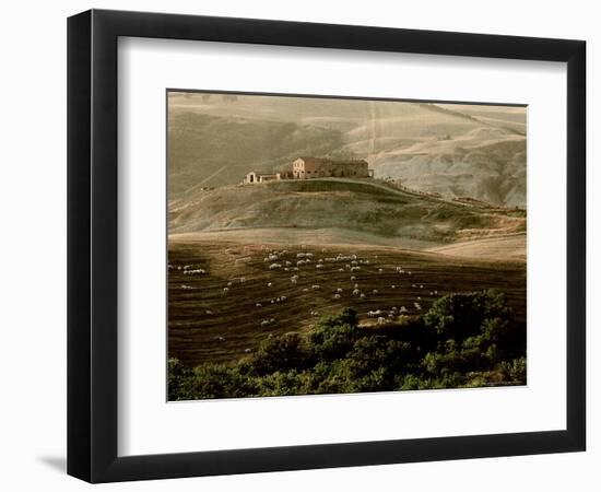 Late Afternoon in Tuscany-Monika Brand-Framed Photographic Print