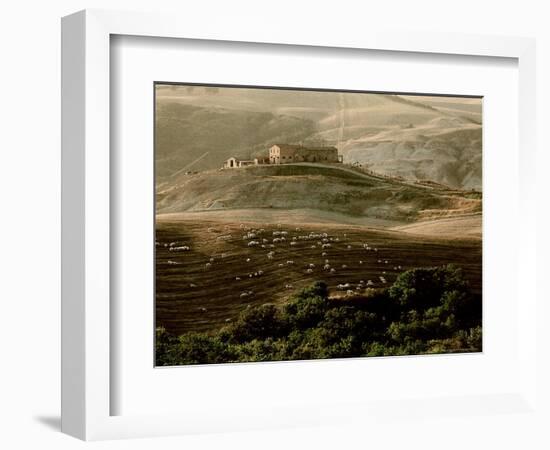 Late Afternoon in Tuscany-Monika Brand-Framed Photographic Print