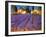 Late Afternoon, Lavender Fields-Philip Craig-Framed Giclee Print