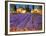 Late Afternoon, Lavender Fields-Philip Craig-Framed Giclee Print