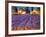 Late Afternoon, Lavender Fields-Philip Craig-Framed Giclee Print