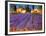 Late Afternoon, Lavender Fields-Philip Craig-Framed Giclee Print