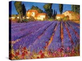 Late Afternoon, Lavender Fields-Philip Craig-Stretched Canvas