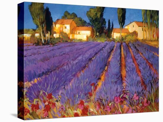 Late Afternoon, Lavender Fields-Philip Craig-Stretched Canvas