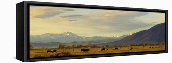 Late Afternoon Light Bathes a Majestic View of the Carson Valley in Nevada-John Alves-Framed Stretched Canvas