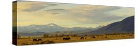Late Afternoon Light Bathes a Majestic View of the Carson Valley in Nevada-John Alves-Stretched Canvas