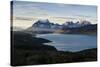 Late Afternoon Light in the Torres Del Paine National Park, Patagonia, Chile, South America-Michael Runkel-Stretched Canvas