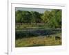 Late Afternoon Light on Field of Texas Paintbrush and Bluebonnets, Hill Country, Texas, USA-Adam Jones-Framed Photographic Print