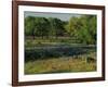 Late Afternoon Light on Field of Texas Paintbrush and Bluebonnets, Hill Country, Texas, USA-Adam Jones-Framed Photographic Print