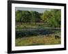 Late Afternoon Light on Field of Texas Paintbrush and Bluebonnets, Hill Country, Texas, USA-Adam Jones-Framed Photographic Print