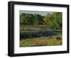 Late Afternoon Light on Field of Texas Paintbrush and Bluebonnets, Hill Country, Texas, USA-Adam Jones-Framed Photographic Print