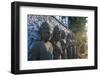 Late Afternoon Light on Stone Statues in the Pura Besakih Temple Complex, Bali, Indonesia-Michael Runkel-Framed Photographic Print