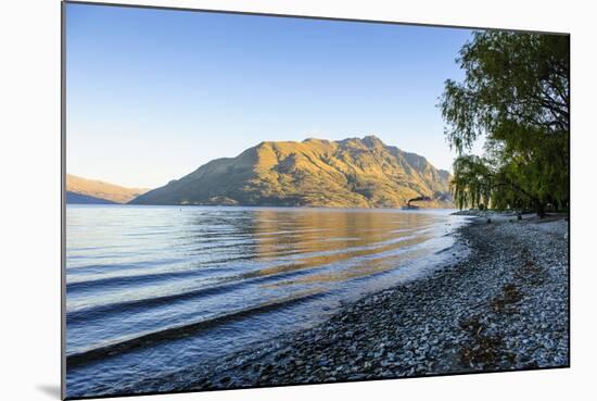 Late Afternoon Light over the Shores of Lake Wakatipu-Michael-Mounted Photographic Print