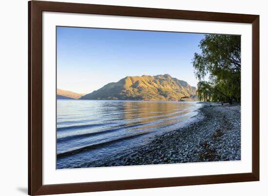 Late Afternoon Light over the Shores of Lake Wakatipu-Michael-Framed Photographic Print