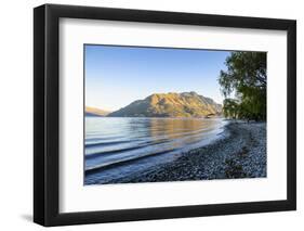 Late Afternoon Light over the Shores of Lake Wakatipu-Michael-Framed Photographic Print