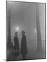 Late Afternoon Meeting in Fog Near Hyde Park-Tony Linck-Mounted Photographic Print