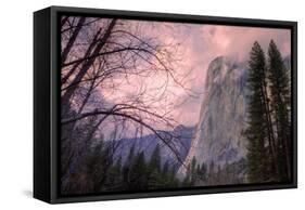 Late Afternoon Mood at El Capitan-Vincent James-Framed Stretched Canvas