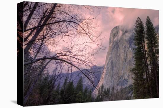 Late Afternoon Mood at El Capitan-Vincent James-Stretched Canvas