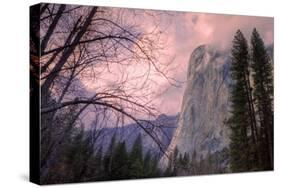 Late Afternoon Mood at El Capitan-Vincent James-Stretched Canvas