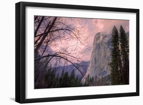 Late Afternoon Mood at El Capitan-Vincent James-Framed Premium Photographic Print