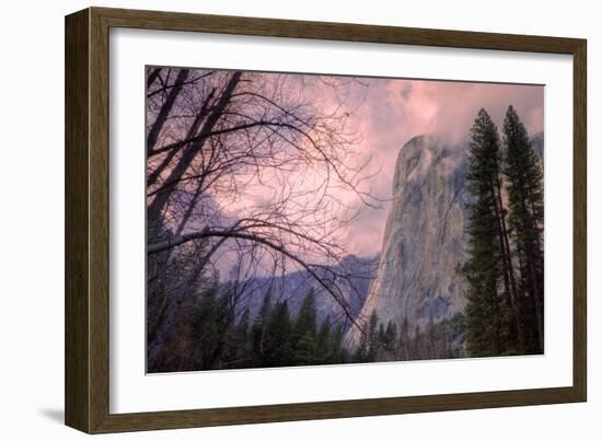 Late Afternoon Mood at El Capitan-Vincent James-Framed Photographic Print