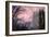 Late Afternoon Mood at El Capitan-Vincent James-Framed Photographic Print