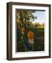 Late afternoon on the Dartmouth College Green, Hanover, New Hampshire, USA-Jerry & Marcy Monkman-Framed Photographic Print