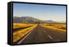 Late Afternoon on the Highway on the Way to Twizel, South Island, New Zealand, Pacific-Michael-Framed Stretched Canvas