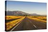 Late Afternoon on the Highway on the Way to Twizel, South Island, New Zealand, Pacific-Michael-Stretched Canvas